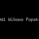 Adi Wibowo Popska