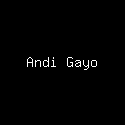 Andi Gayo