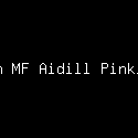 Anyqu Adim MF Aidill Pinki Prananda