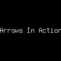 Arrows In Action