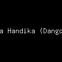 Caca Handika (Dangdut)