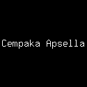 Cempaka Apsella