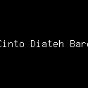 Cinto Diateh Baro