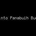 Cinto Panabuih Budi