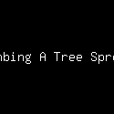 Climbing A Tree Sprouts