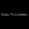 Dudu Pilihanmu