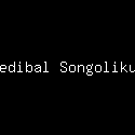 Gedibal Songolikur