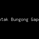 Rintak Bungong Gapeuh