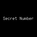 Secret Number