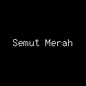 Semut Merah