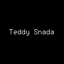 Teddy Snada