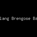 Terhalang Brengose Bapakmu