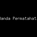 Wanda Permatahati