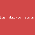 Alan Walker Sorana