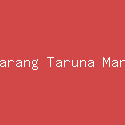 Anak Ikan Ft Karang Taruna Manunggal Tunggul