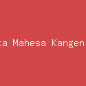 Andika Mahesa Kangen Band