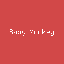 Baby Monkey