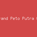 Betrand Peto Putra Onsu