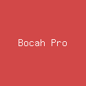 Bocah Pro