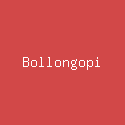 Bollongopi