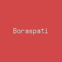 Boraspati