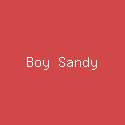 Boy Sandy