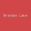 Brandon Lake