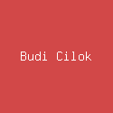 Budi Cilok