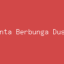 Cinta Berbunga Dusta