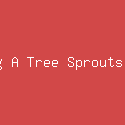 Climbing A Tree Sprouts [indie]