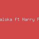 Elsa Pitaloka ft Harry Parintang