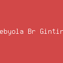 Febyola Br Ginting