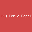 Fikry Ceria Popstar