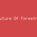 Future Of Forestry