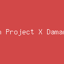 Gavin Project X Damara De