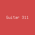 Guitar 311