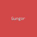 Gungor