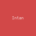 Intan