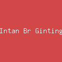 Intan Br Ginting