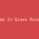 Kids In Glass Houses