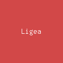 Ligea