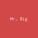 Mr. Big