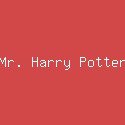 Mr. Harry Potter