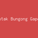 Rintak Bungong Gapeuh