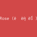 Rose (더로즈)