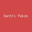 Santri Pekok