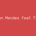 Shawn Mendes feat Tainy