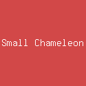 Small Chameleon