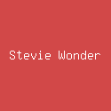 Stevie Wonder