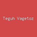 Teguh Vagetoz